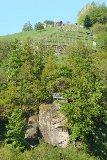 Blick auf eine der steilsten Weinanbaugebiete Europas "Engelsberg"