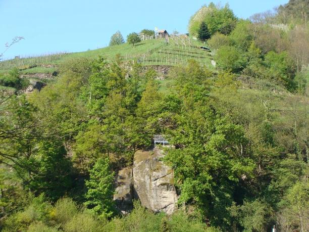 Blick auf eine der steilsten Weinanbaugebiete Europas "Engelsberg"