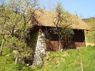Buhnefronze-Mühl im Frühling