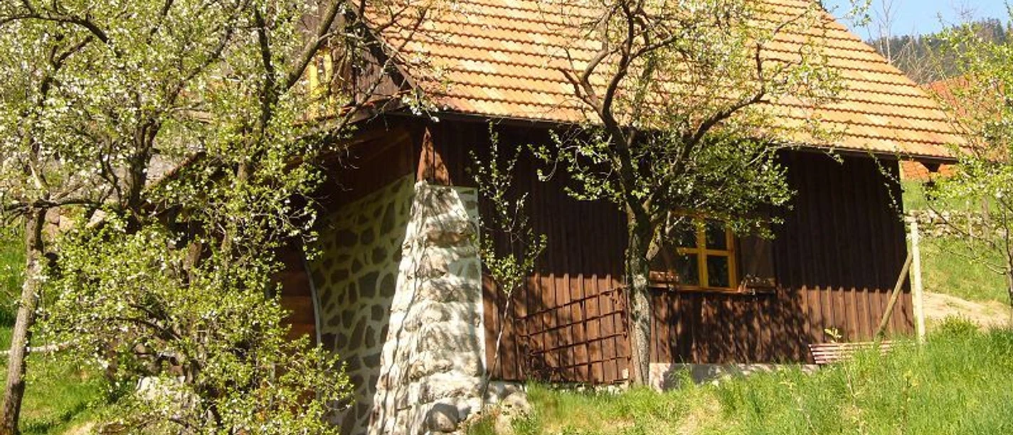 Buhnefronze-Mühl im Frühling