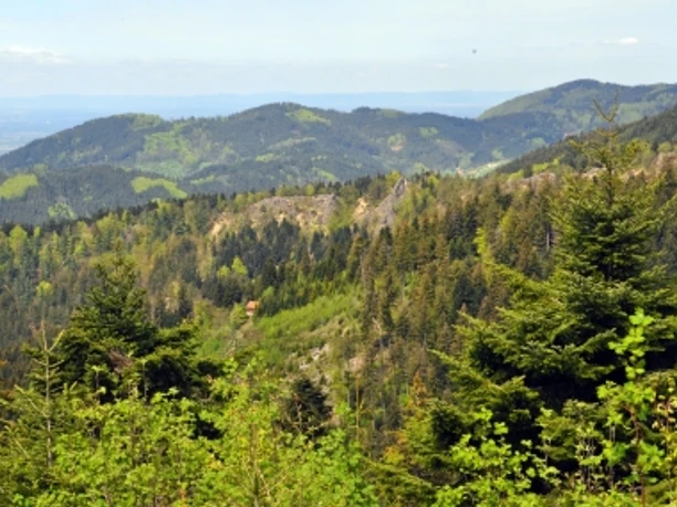 Blick auf den Karlsruher Grat mit Aussicht ins Rheintal und die umliegenden Berge