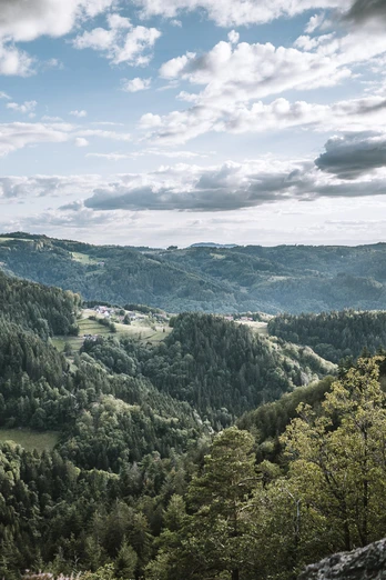 Blick von einem Berg auf Hügel mit dunkelgrünem sonnigen Wald und kleinen Dörfern