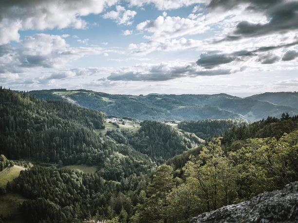 Blick von einem Berg auf Hügel mit dunkelgrünem sonnigen Wald und kleinen Dörfern