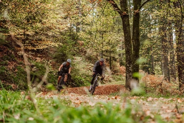 Gravelbiken in Baiersbronn
