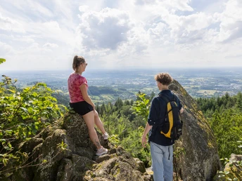 Aussicht Bühler Stein