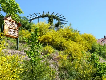 Sonnenlaube auf dem Pfarrberg