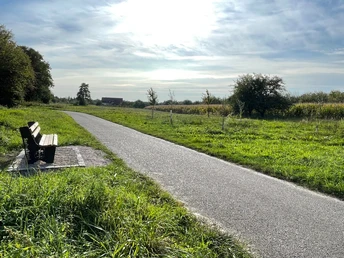 Blick auf Radweg mit Bank (Bahnfeld).