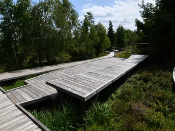 Verzweigter Holzpfad in Grindenlandschaft