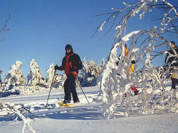 Schneeschuhwandern auf dem Kniebis