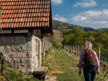 Im Frühling besonders schön!