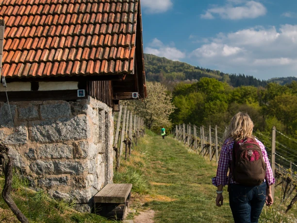 Im Frühling besonders schön!