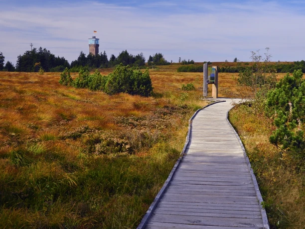 Herbstliche Hornisgrinde mit Bohlenweg, Infotafel Grindenpfad und Hornisgrinde-Aussichtsturm im Hintergrund