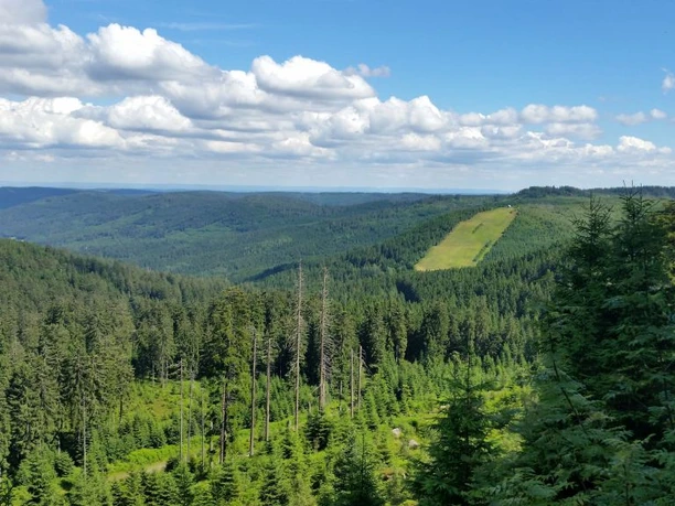 Aussicht unterhalb des Bismarckturms auf weite Wälder und den Skihang Seibelseckle