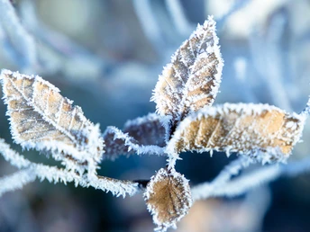 Bad Peterstal-Griesbach/Die Schönheit von Jahreszeiten