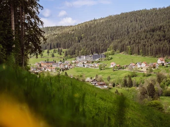 Ortsteil Tonbach bei Baiersbronn