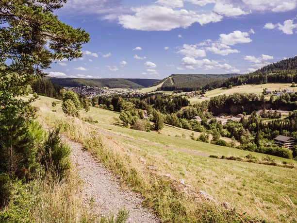 Pfad an der Sommerseite mit Blick auf Baiersbronn