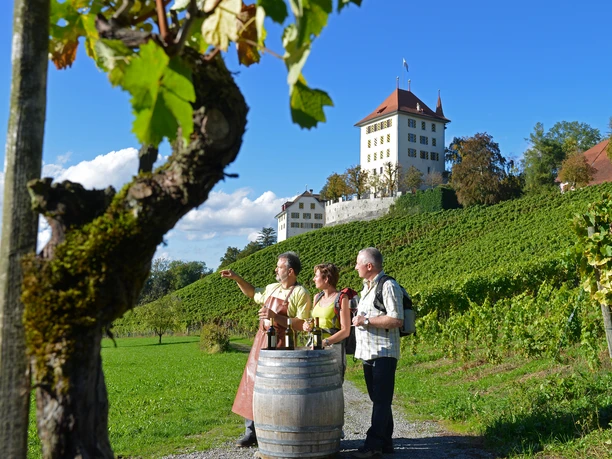 Wandern im Seetal LU CH