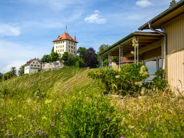 Weingut-Heidegg-Schloss (19).jpg