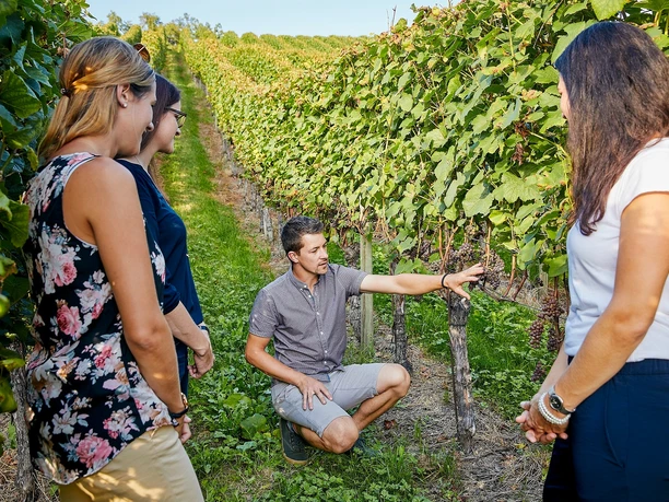 Aesch_Klosterhof_Weindegustation_Führung im Rebberg_Brechbühl_low