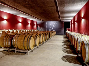 Weingut Lindenmann_Fässer