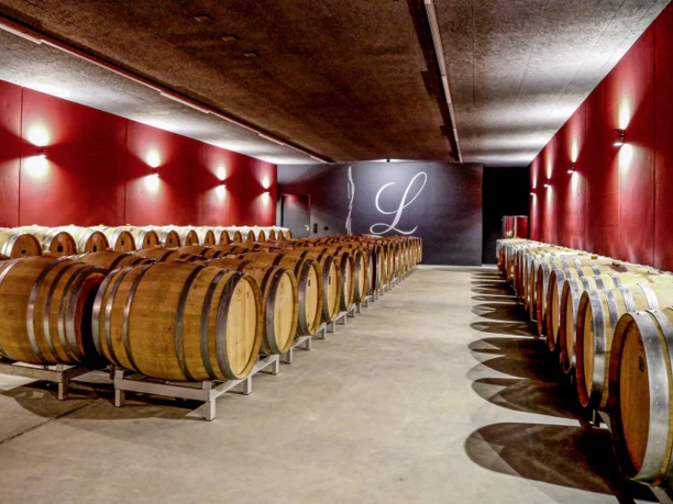 Weingut Lindenmann_Fässer