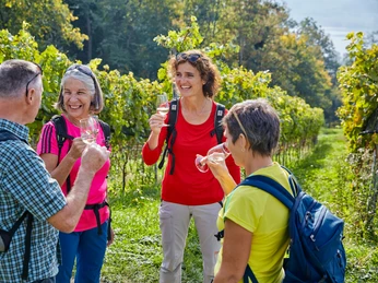 Weindegu und Besichtigung des Weinguts Kaiserspan Weindegu und Besichtigung des Weinguts Kaiserspan