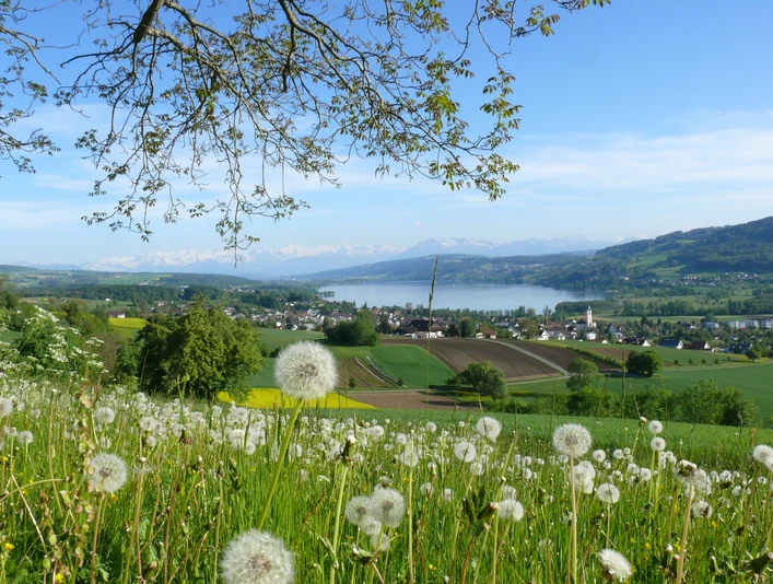 Seetal_EichbergSeengen_PanoramaFruehling