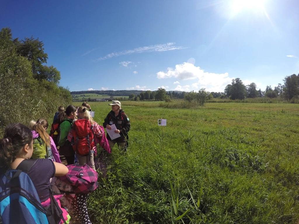 Hallwilersee_Ranger_2015-09-24 03 Gebenstorf klein