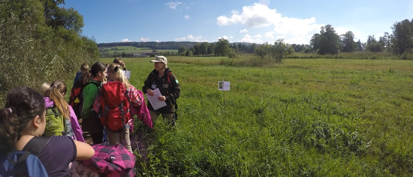 Hallwilersee_Ranger_2015-09-24 03 Gebenstorf klein