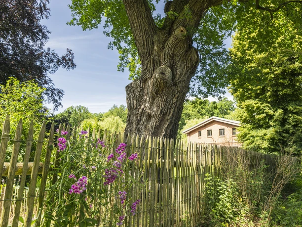 Wassermühle Neumühlen Wassermühle Neumühlen