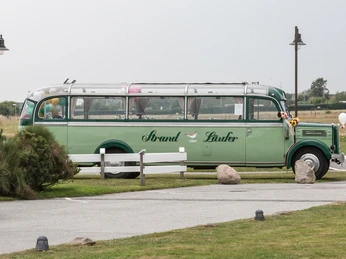 © Sylter Verkehrsgesellschaft I Maddalena Arosio_Oldtimerbus Strandläufer.jpg