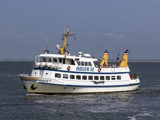 Adler_IV©Tim Wagner.jpg