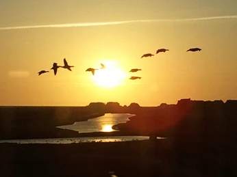 Hooge_Abendstimmung_c_Touristikbüro Hallig Hooge.jpg