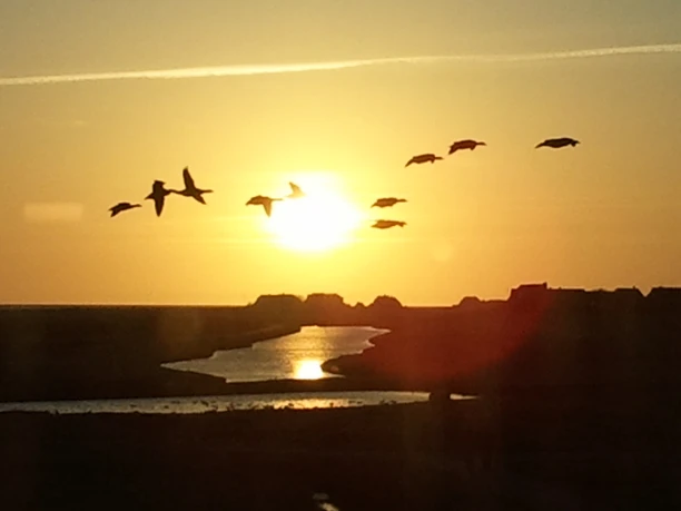 Hooge_Abendstimmung_c_Touristikbüro Hallig Hooge.jpg