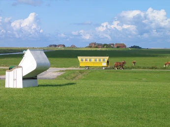 Hooge_Kutsche_c_Touristikbüro Hallig Hooge.jpg