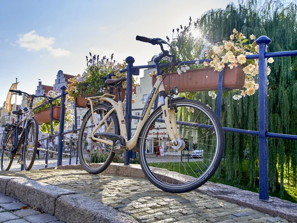 Friedrichstadt Räder Brücke_c_ Photocompany_Friedrichstadt.jpg