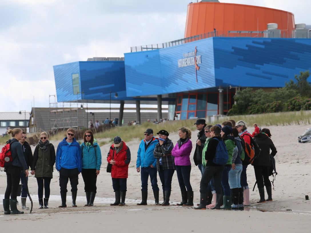 © Erlebniszentrum Naturgewalten I Melanie Steur_Wattführung.JPG