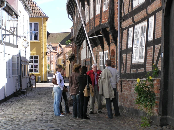 © Business Esbjerg I Visit Ribe Esbjerg_Guide Tour Ribe.JPG