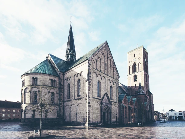 © Lasse Lagoni_Ribe Dom.jpg