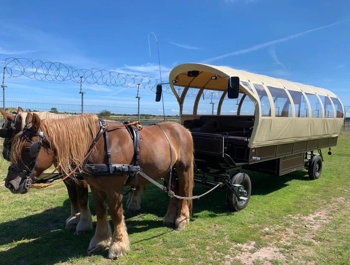 Kutsche_mit Pferden_Matthias Tölke.jpg