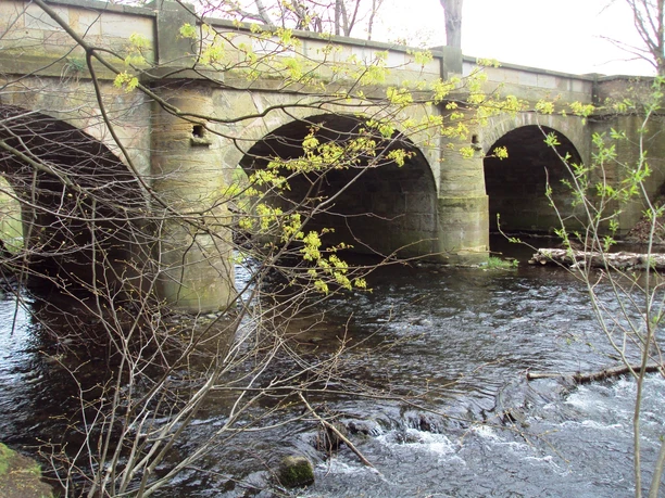Franzosenbrücke bei Salzgitter-Hohenrode