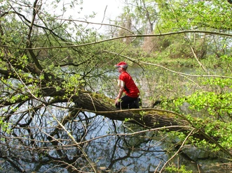 Kleiner Teich in Salzgitter-Bad