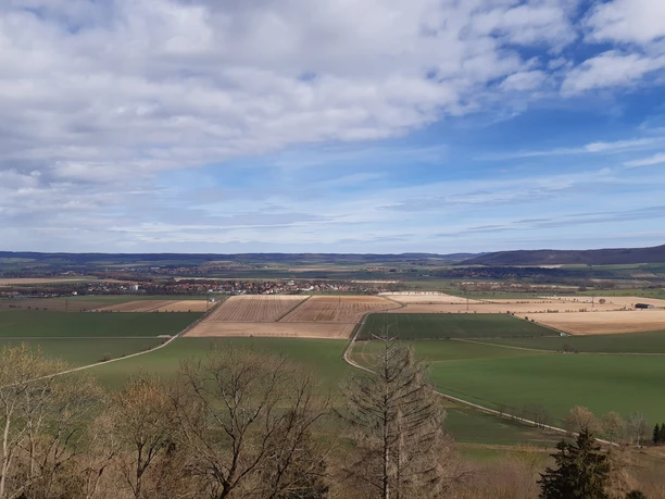 Blick vom Cölleturm