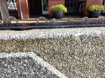 Detail Salinenbrunnen-Gradierwerk Soltezentrum Salzgitter-Bad