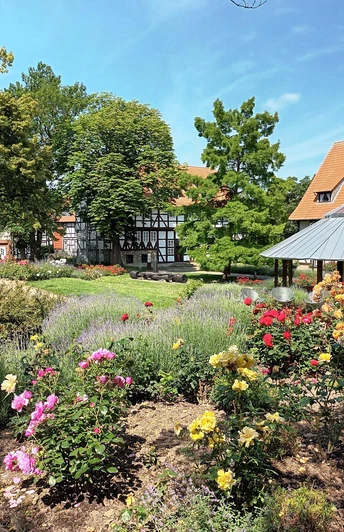 Rosengarten Salzgitter-Bad