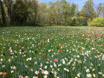 Radeln auf der BE 3 - Rund um Bad Essen