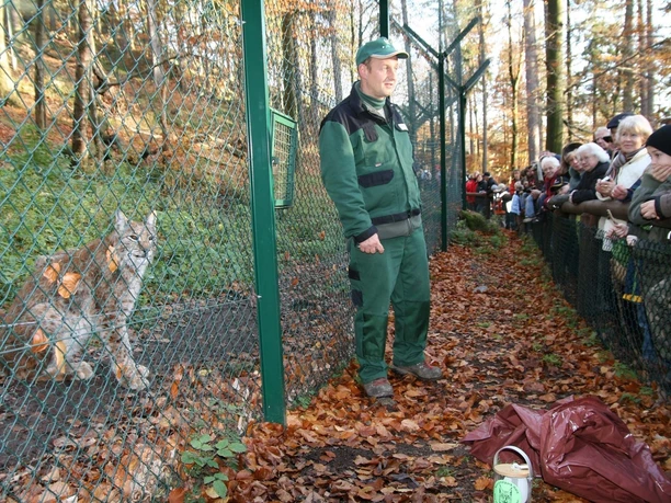 Luchsschaugehege bei Bad Harzburg