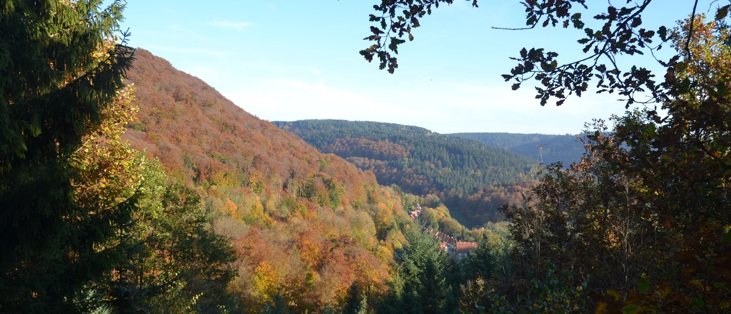 Bad Grund - vom Weltwald Richtung Iberg Bad Grund - vom Weltwald Richtung Iberg