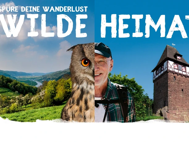 Wilde Heimat - Solling-Vogler-Region im Weserbergland e. V.