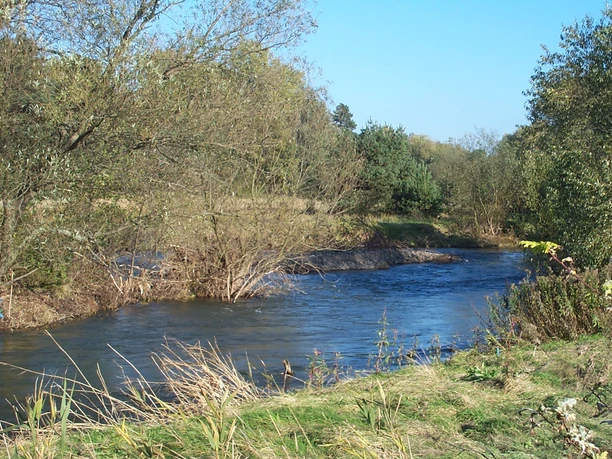 Innerste, Flussverlauf bei Salzgitter-Ringelheim